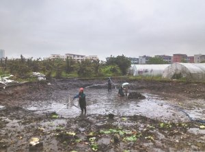 京口河道鱼塘清淤